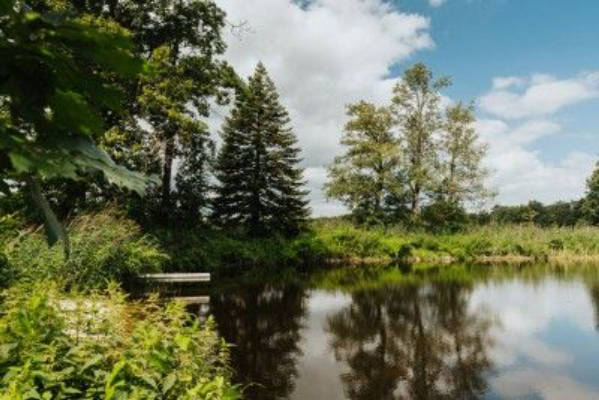 Camp between forest edge and pond at the farm