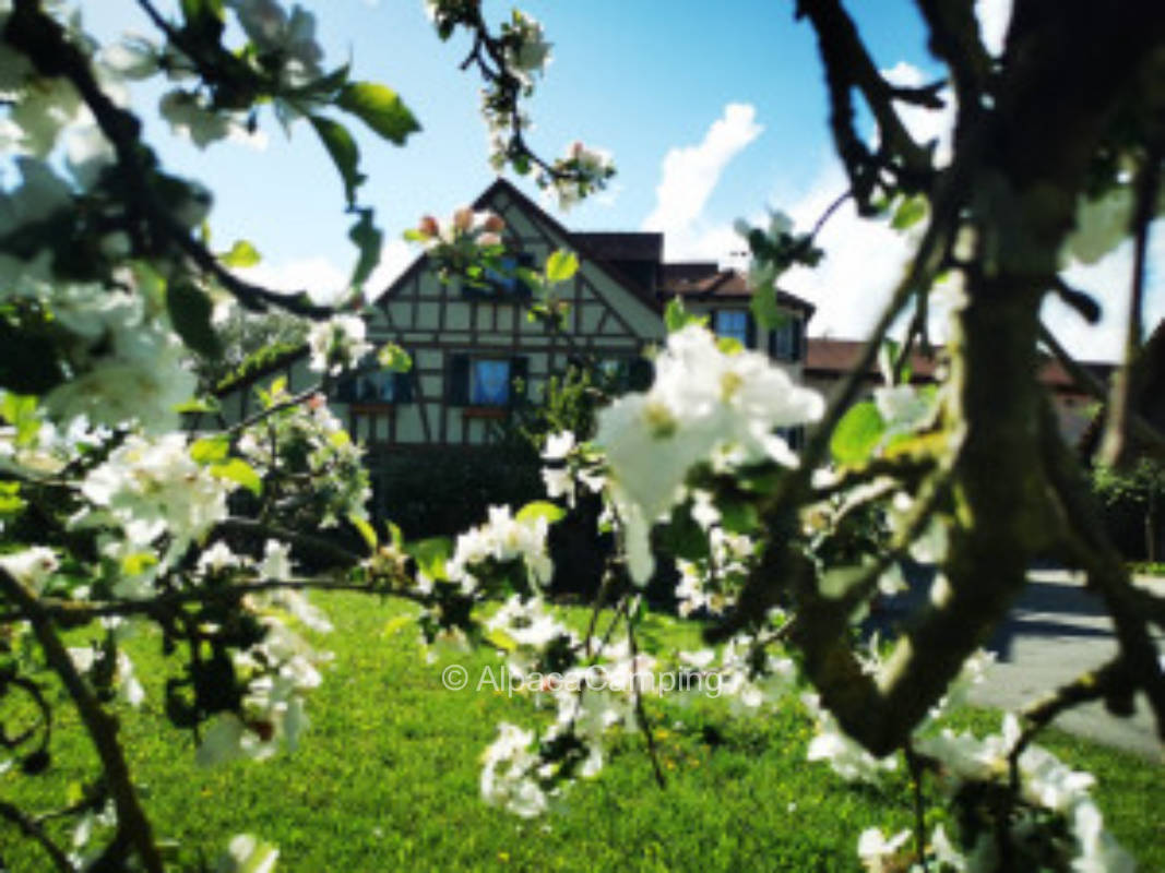 Schlafen und mehr in traumhafter Kulisse an der Nassach #3