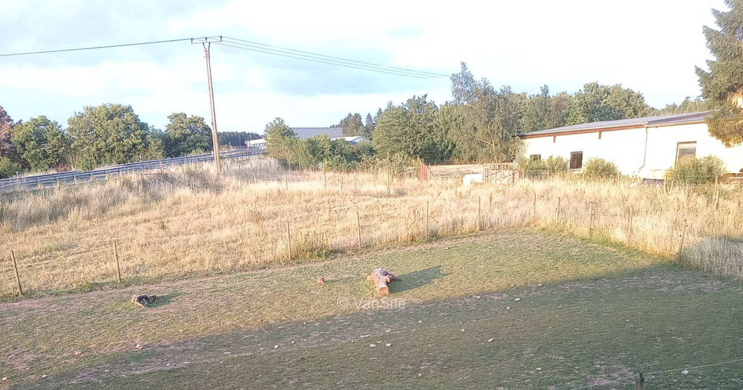 Platz am Pferdepaddock