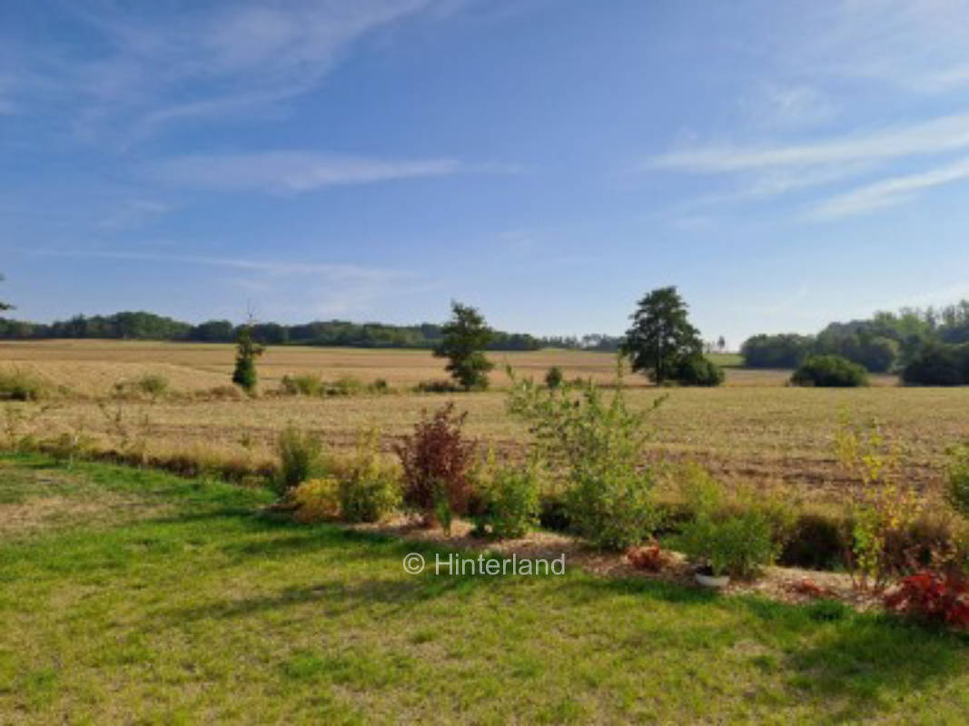 Camping with forest view in beautiful Knüll Mountains