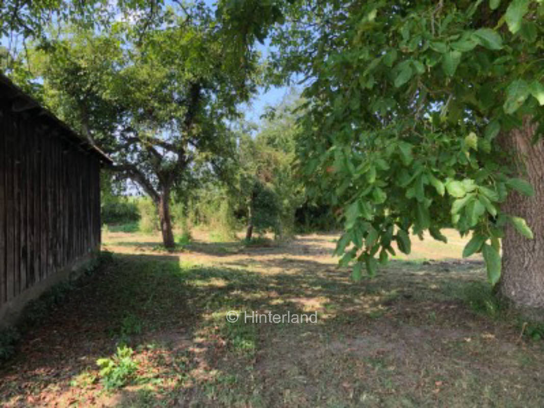 Ruhig und entspannt verweilen an der Donauterrasse