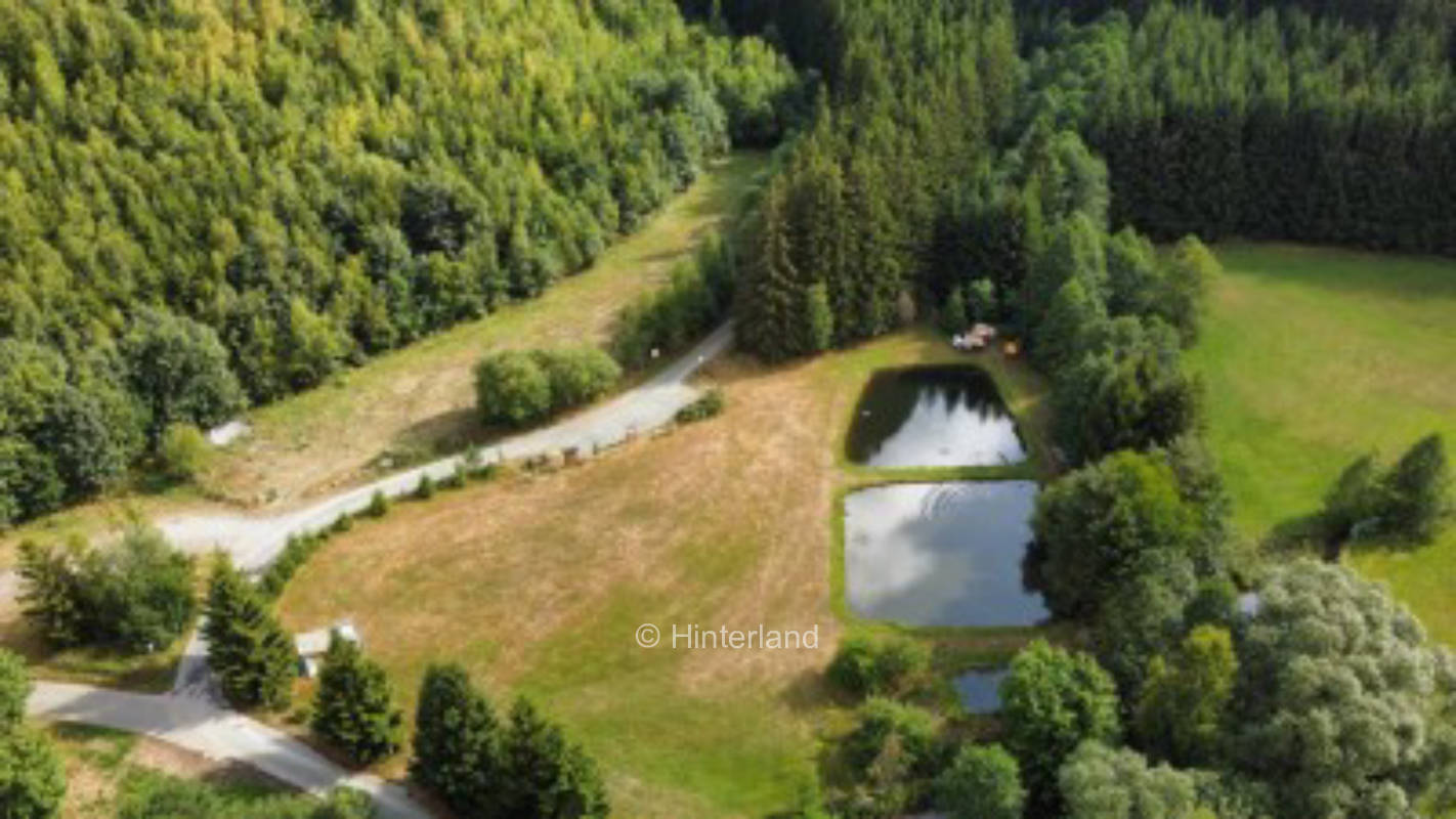 Am Bächlein im Naturpark Frankenwald 