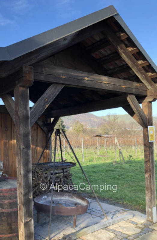 Ruhige Wiese mit Weitblick am Weinberg #2