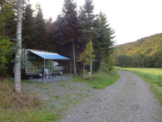 Private Stellfäche im Wald (Campspace 4346)