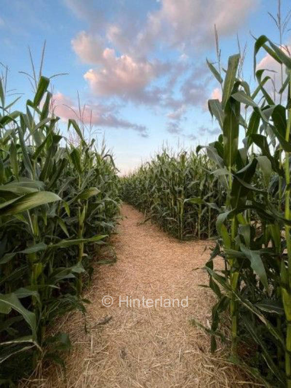 Spend the night with an unobstructed view through the field