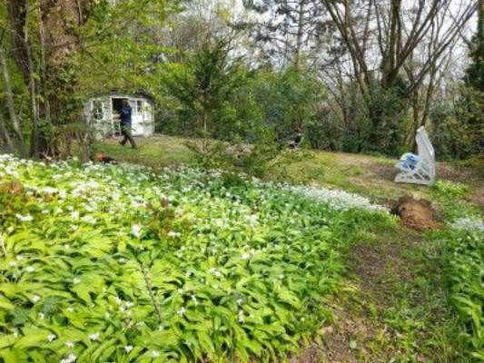 Campspace in wildlife garden
