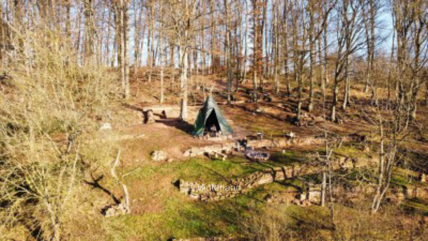 Woodland for nature lovers with fantastic view