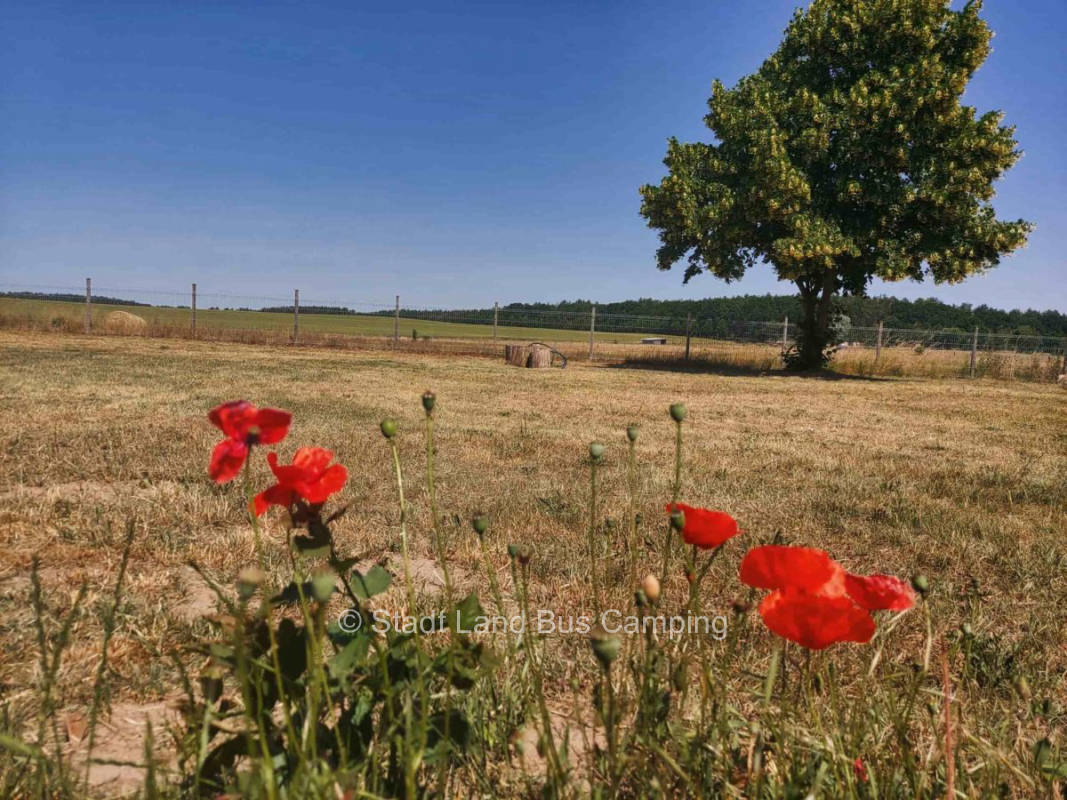 Ausblick zum Halbmond – landlust