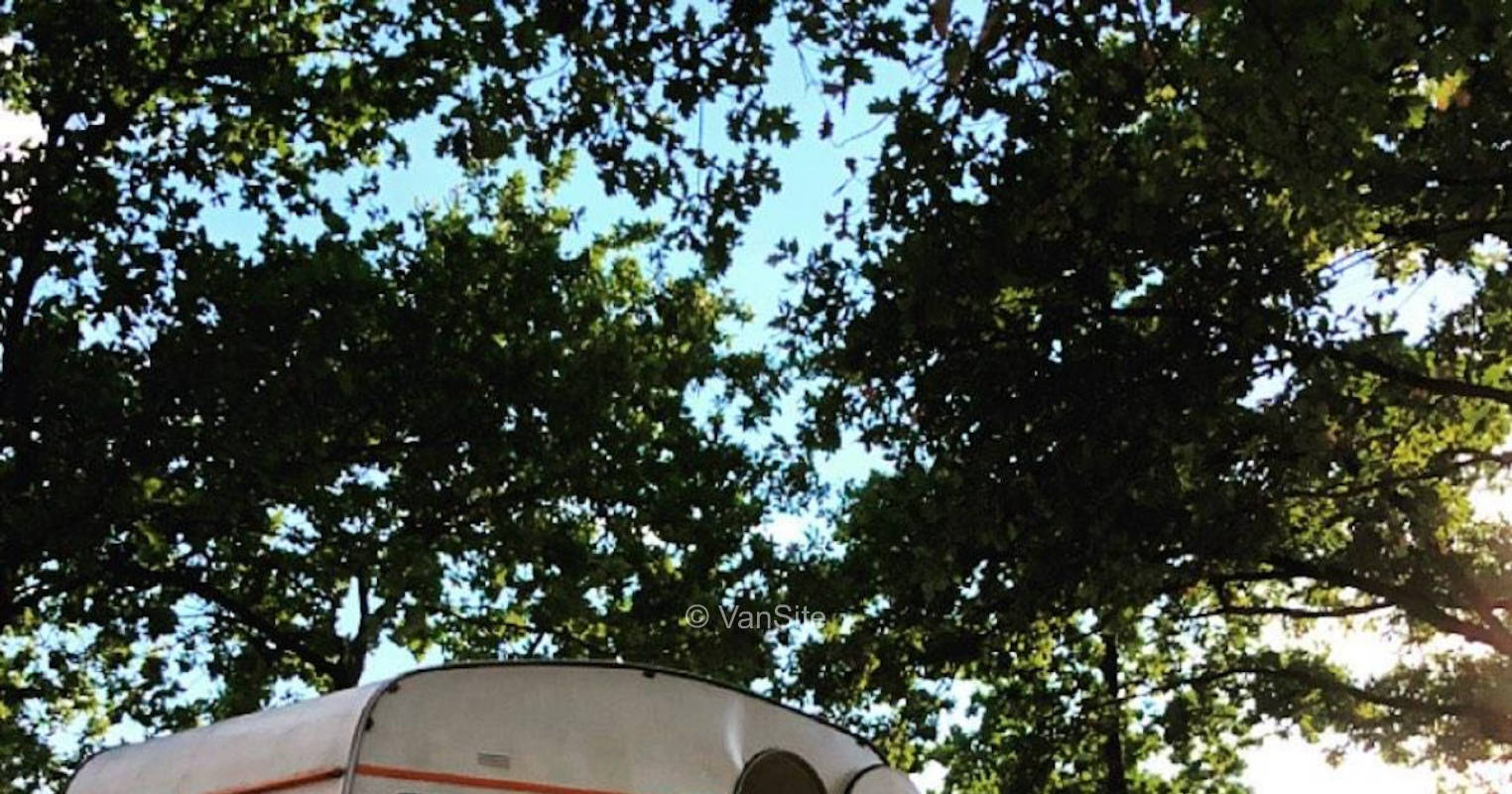 Stay & Tree
