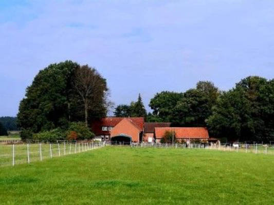 Stellplatz bei Pferd, Esel und Wollschwein