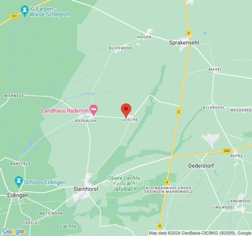 Koppel in der Südheide