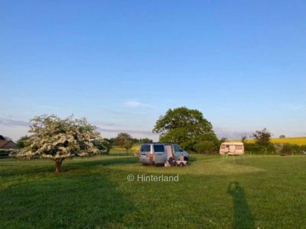 Pure nature - camping together with the heidschnucken