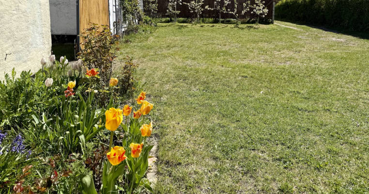 Quiet meadow on Wariner See with electricity, water & toilet facilities