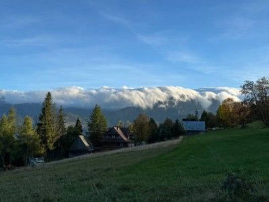 Pure Nature in Zakopane – Your Scenic Getaway