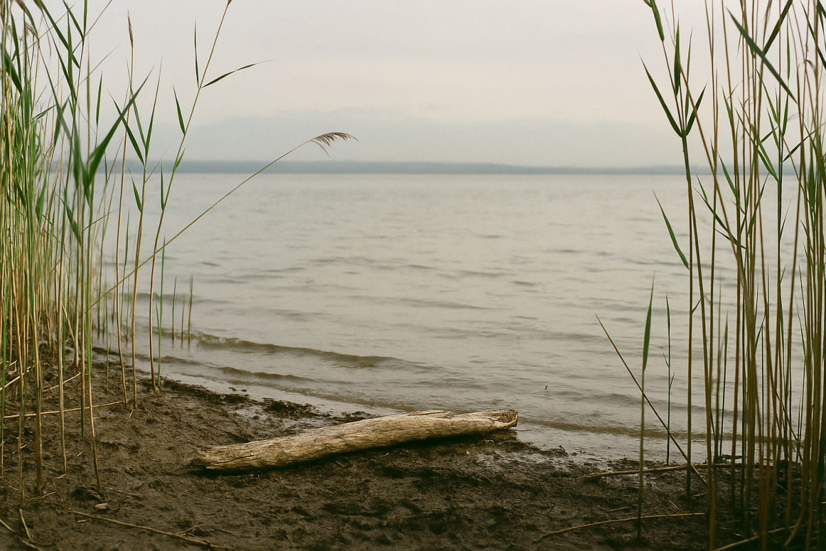 Der Bodensee – KI-generiertes Symbolbild