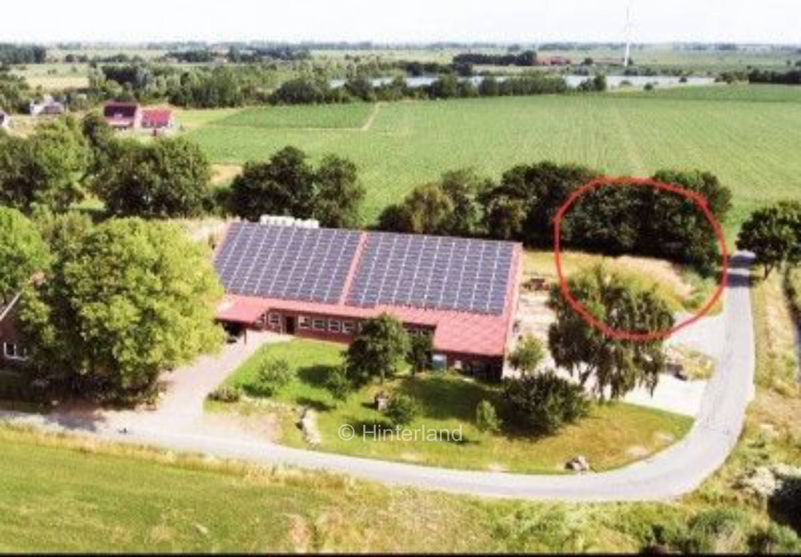 Natur hautnah - Camping unter Bäumen 