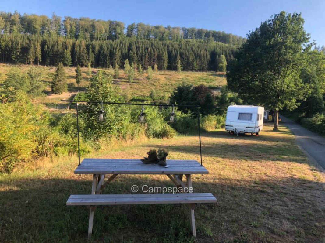 Stellplatz mit Aussicht auf Wisente und Bisons.