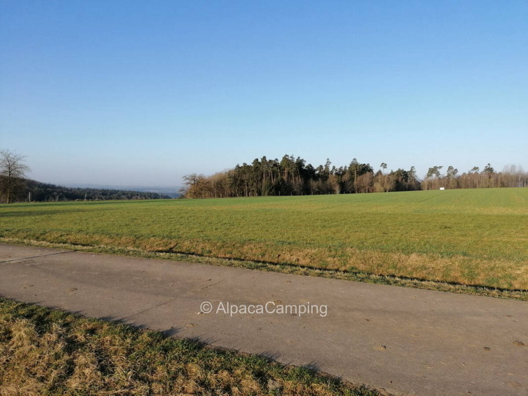 Valley view over Galloway pasture #1
