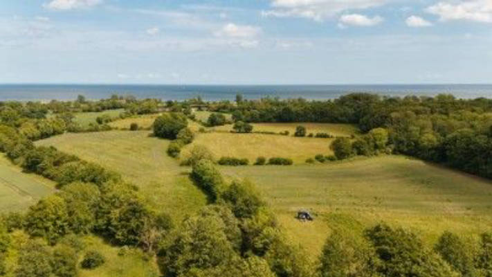 Meadow at the forest edge near Kappeln - 600m to the Baltic Sea