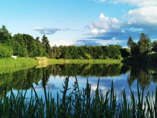 Naturparadies am Teich🌲🦔🐿️