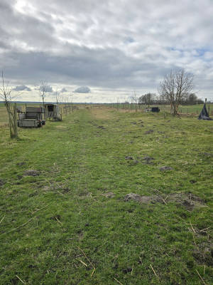 2 hectares of pasture with sheep and donkeys