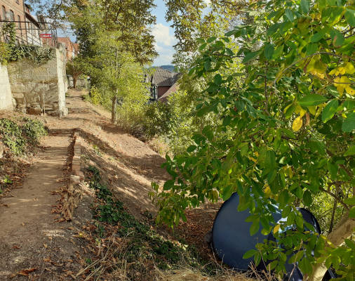 Zelten mit stadtmauer u werrablick