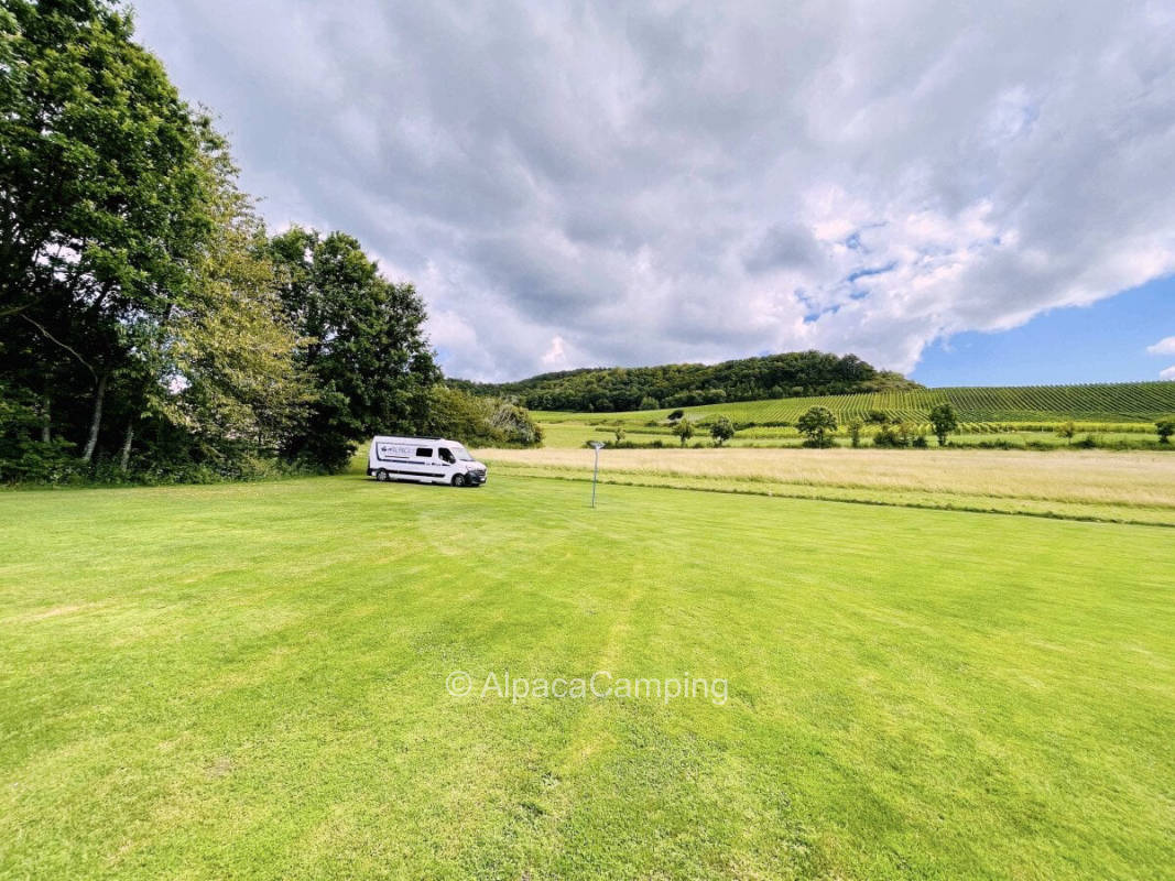Sports field camping in Oberschwarzach #2