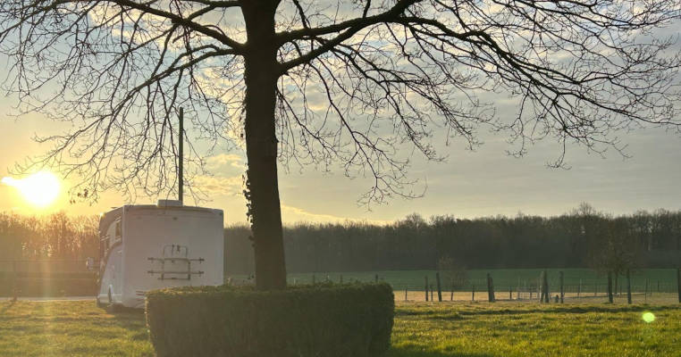 Camping an der Alpaka-Weide