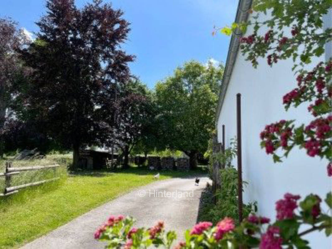 Farm Camping with Börde View
