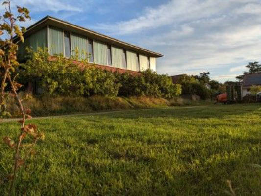 Quiet campsite on the southern wine route