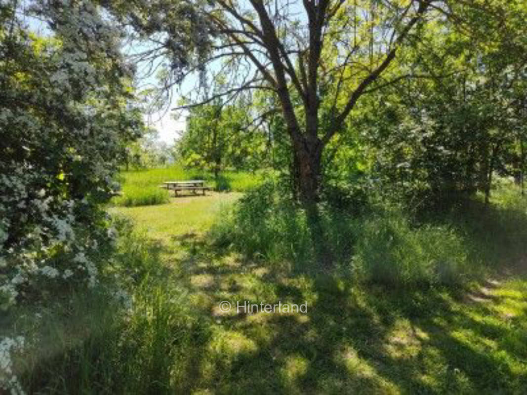 Übernachten unter Obstbäumen mit Bio-Café nebenan