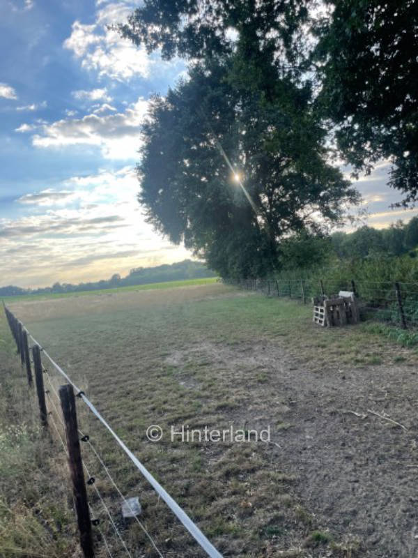 Little time out in the green (single place)