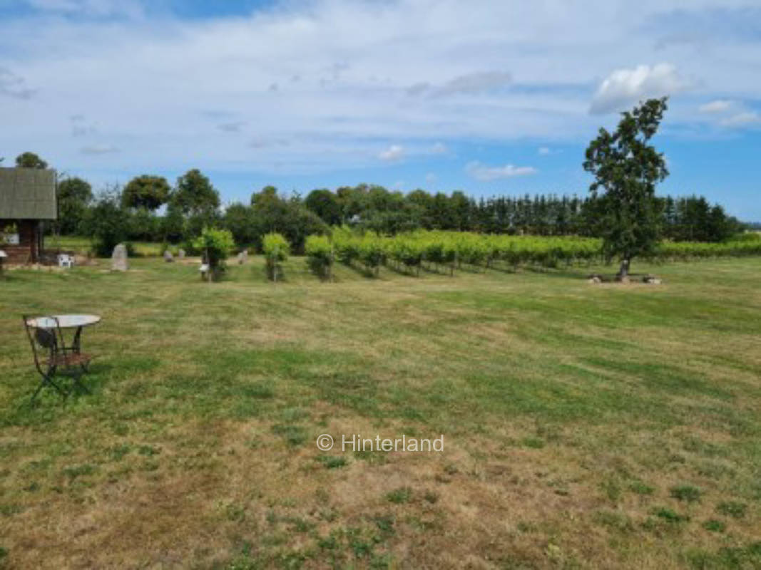 Ruhiger Platz auf der Wiese 30 min. bis zum Bodden