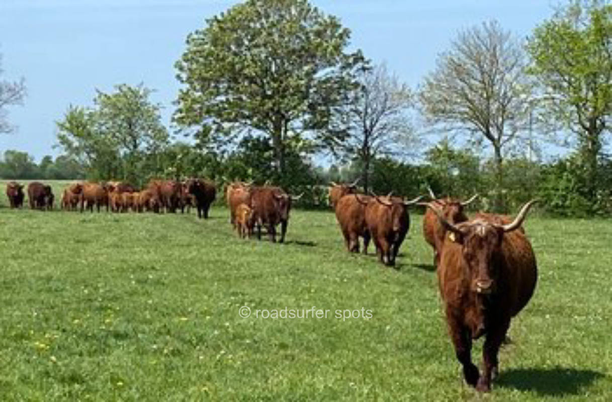 „Begelhof“ der Hof zwischen den Meeren