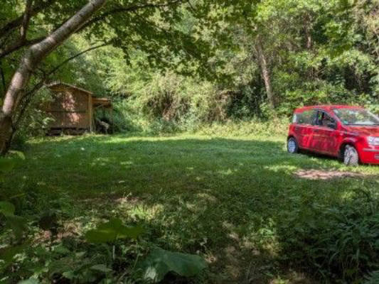 Nature Campsite by the Stream at the Three-Country Corner