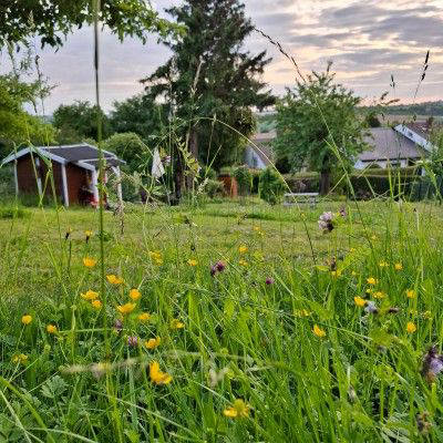Quiet campsite in nature creative garden
