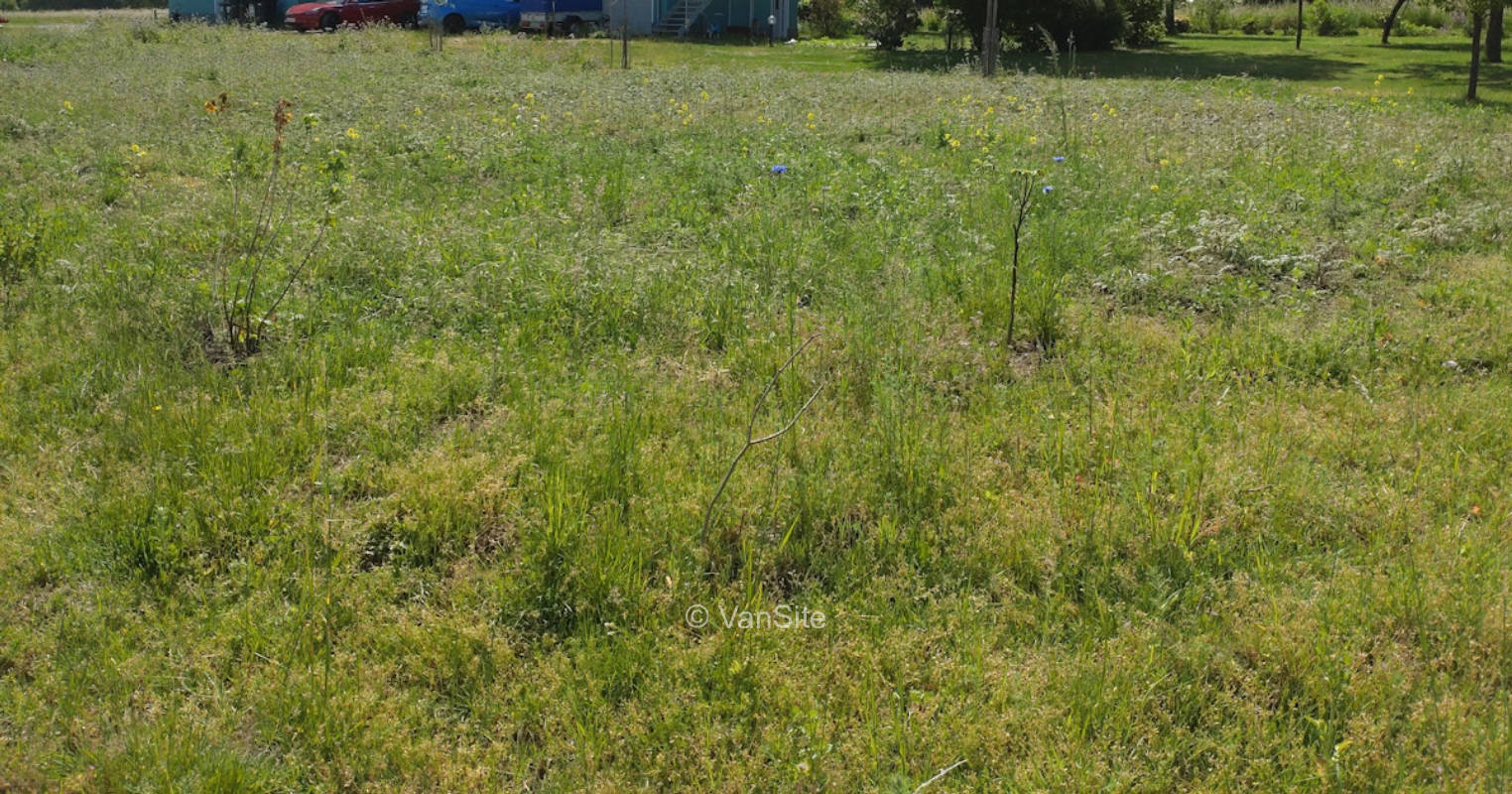 In the field