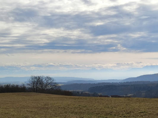 Wiese mit fernblick in die alpen