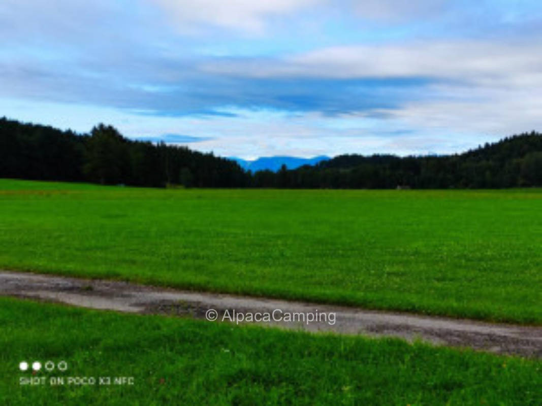 Relaxing in the nature of the Pfaffenwinkel #2