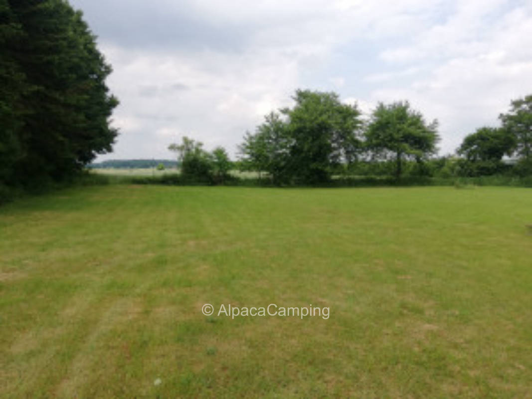 Meadow in Schleswigholstein Switzerland