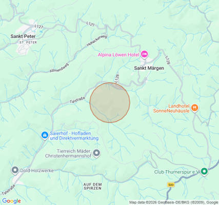 Schwarzwald camp