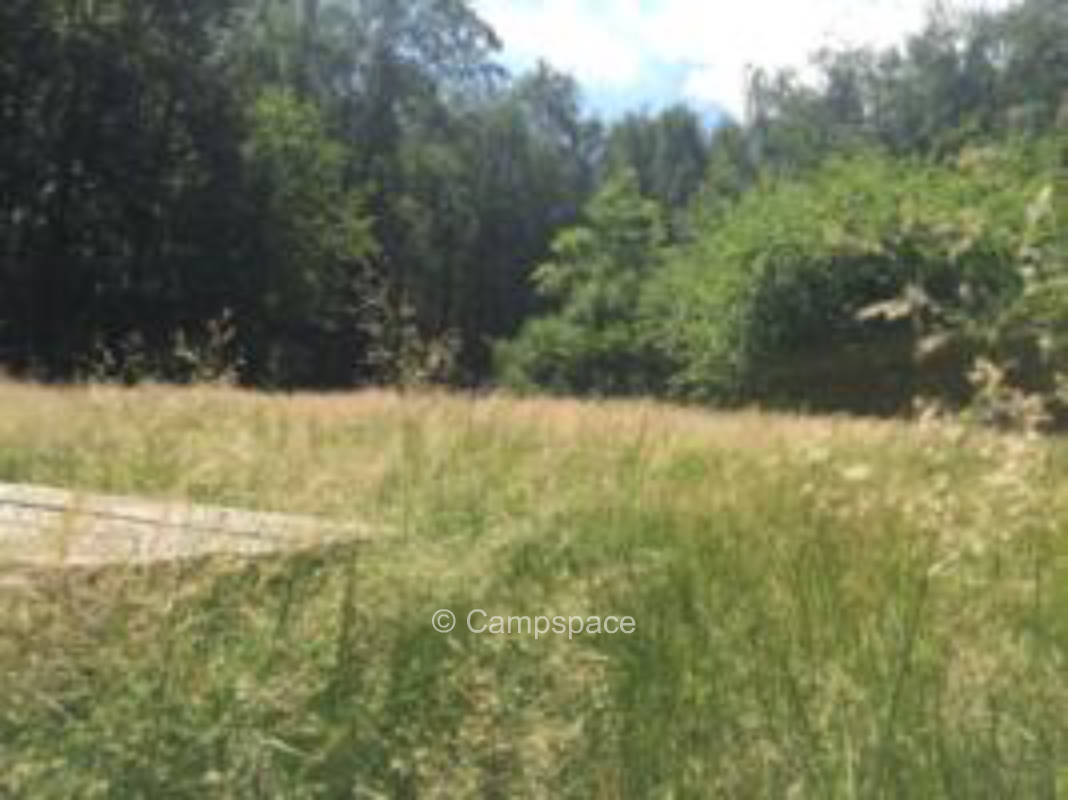 Between stream, farmer and railroad