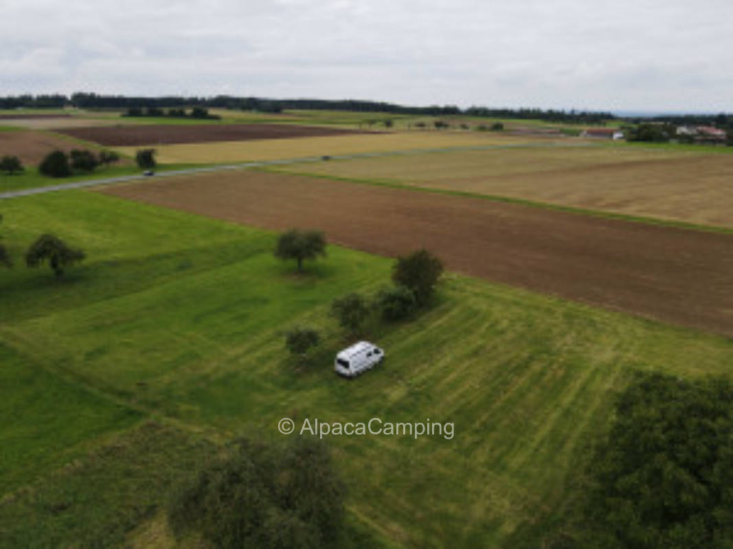 Fränkischer Sundown unter Obstbäumen #2