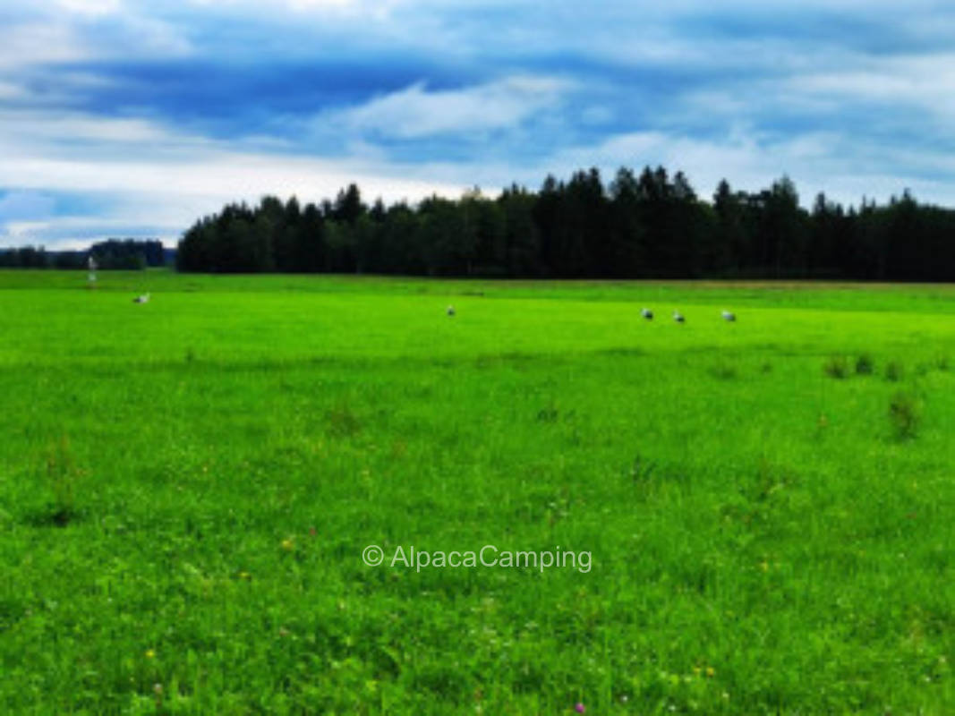 Relaxing in the nature of the Pfaffenwinkel #3