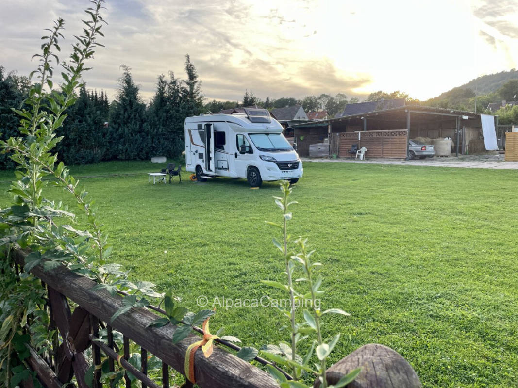 AlpacaCamping 487