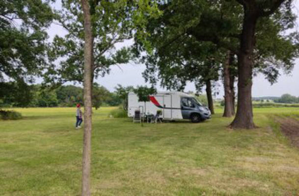 Campen unter Bäumen in den Feldern