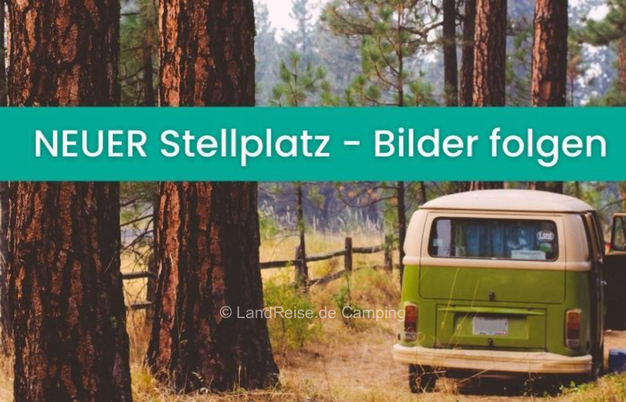 Herrlicher Stellplatz am Waldrand im Naturgarten