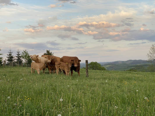 Zelten mit panoramablick
