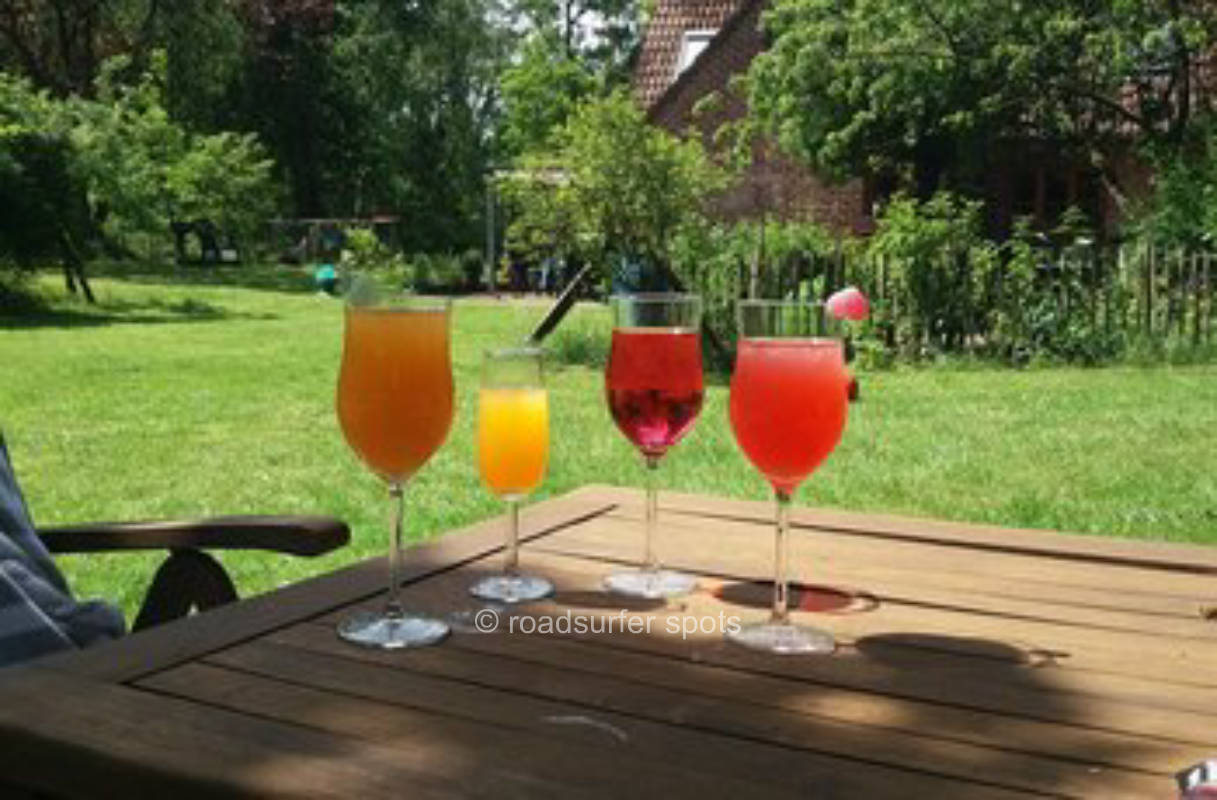 Camping im Moor auf unserem Waldgrundstück