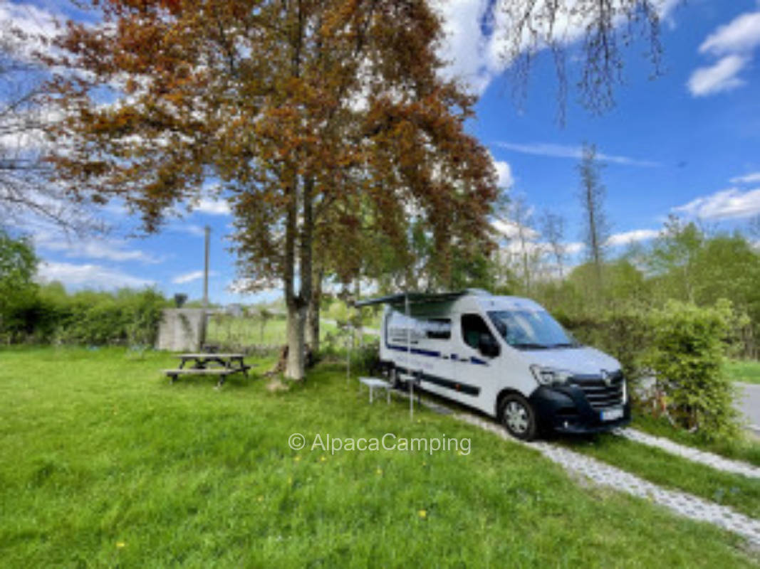 Idyllischer Campingstellplatz auf dem Holdaland Alpakahof unter Bäumen